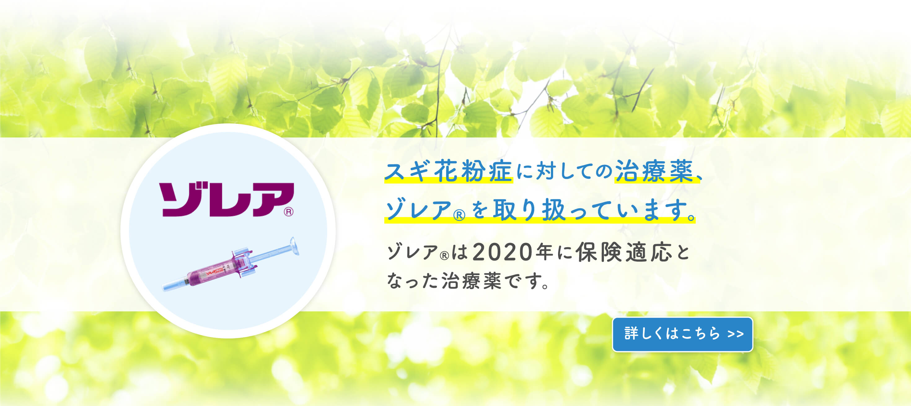 スギ花粉症に対しての治療薬、ゾレアを取り扱っています。