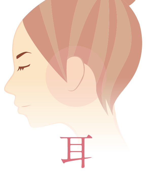 耳(みみ)